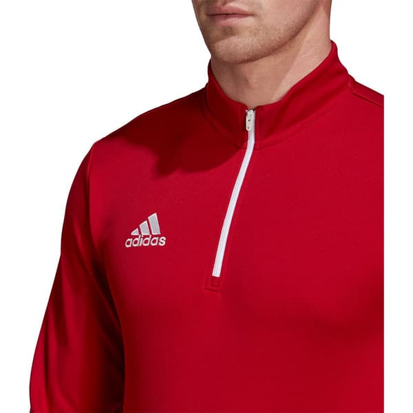 Adidas Huppari Entrada 22 Training Punainen M / Regular Mies