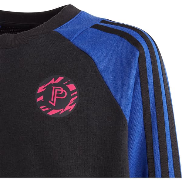 Adidas Tröja Pogba Crew Svart 13-14 Years Pojke