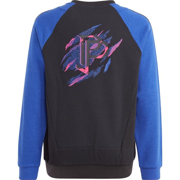 Adidas Tröja Pogba Crew Svart 13-14 Years Pojke