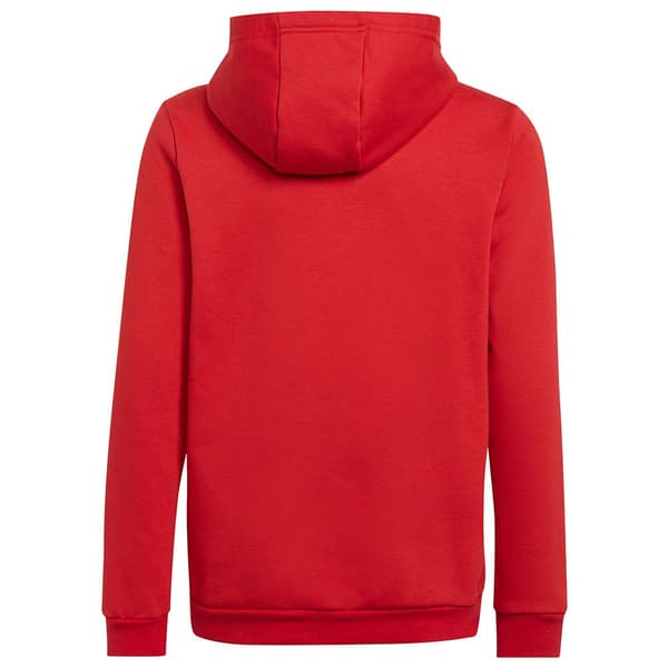 Adidas Huppari Entrada 22 Punainen 7-8 Years