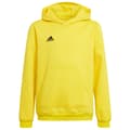 Miniatyrbillede 1 af 4: Adidas Hættetrøje Entrada 22 Gul 9-10 Years