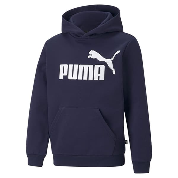 Puma Tröja Essentials Big Logo Fl Blå 9-10 Years