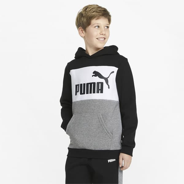 Puma Tröja Essentials+ Colorblock Fl Grå 3-4 Years
