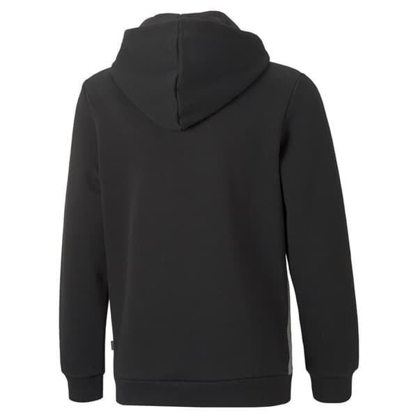 Puma Tröja Essentials+ Colorblock Fl Grå 3-4 Years