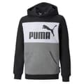Miniatyrbild 1 av 4: Puma Tröja Essentials+ Colorblock Fl Grå 3-4 Years