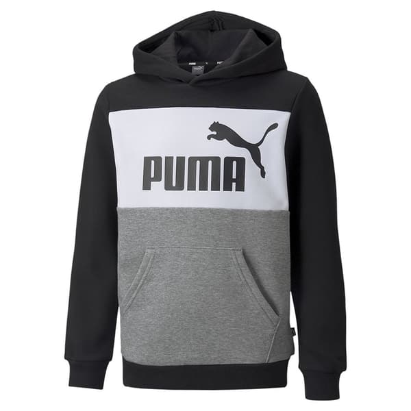 Puma Tröja Essentials+ Colorblock Fl Grå 3-4 Years