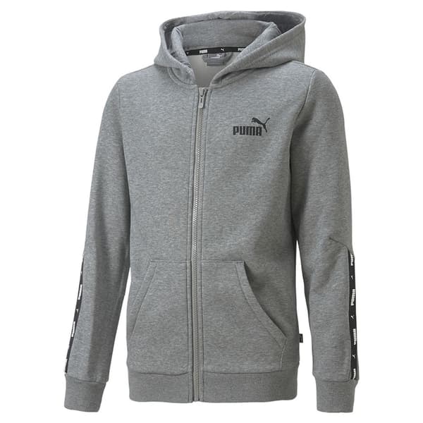 Puma Tröja Essentials+ Tape Fl Grå 3-4 Years