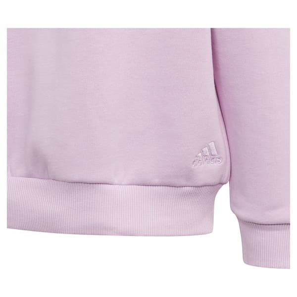 Adidas Huppari All Szn Crew Violetti 7-8 Years