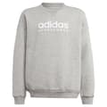 Miniatyrbild 1 av 5: Adidas Tröja All Szn Crew Grå 15-16 Years