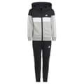 Miniatyrbillede 1 af 8: Adidas Stripes Colorblock Fleece Træningsdragt Tiberio 3 Grå 3-4 Years