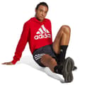 Miniatyrbillede 4 af 6: Adidas Hættetrøje Bl Ft Rød XL / Regular Mand