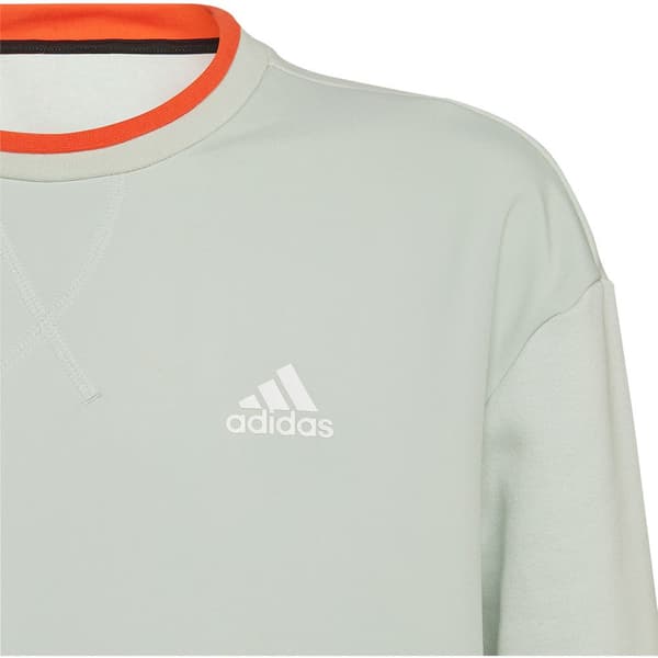 Adidas Huppari All Szn Vihreä 11-12 Years