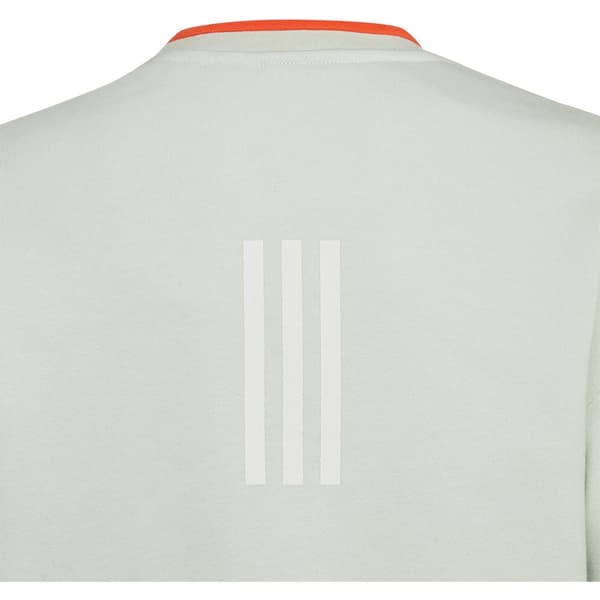 Adidas Huppari All Szn Vihreä 11-12 Years