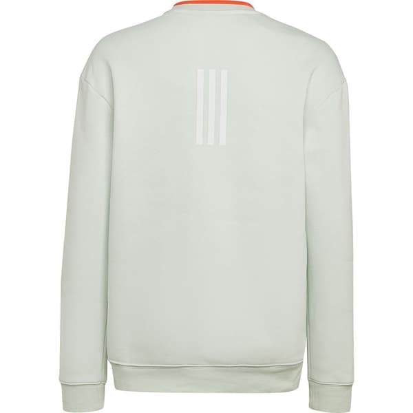 Adidas Huppari All Szn Vihreä 11-12 Years