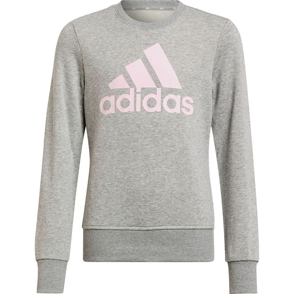 Adidas Tröja Bl Grå 6-7 Years