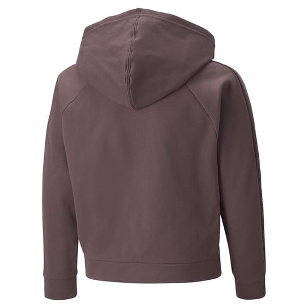 Puma Huppari Modern Sports Ruskea 5-6 Years