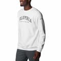 Miniatyrbillede 4 af 5: Columbia Sweatshirt Logo Crew Hvid M Mand
