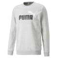 Miniatyrbillede 1 af 4: Puma Hættetrøje Ess+ 2 Col Big Logo Grå L Mand