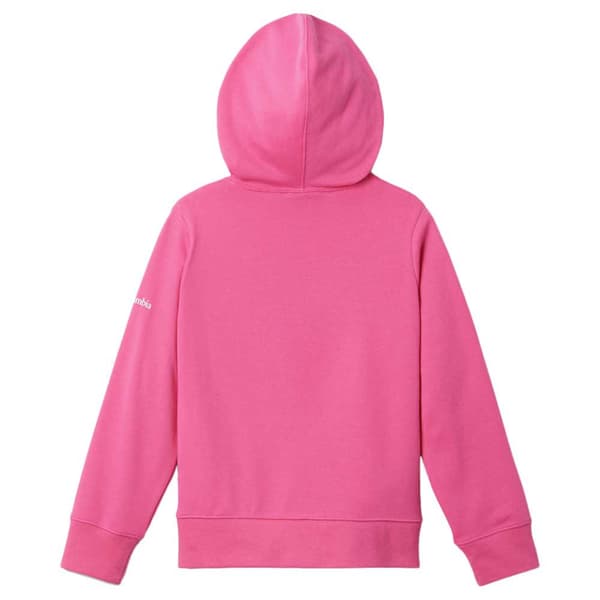 Columbia Hættetrøje Trek™ French Terry Hoodie Rosa 10-11 Years Dreng