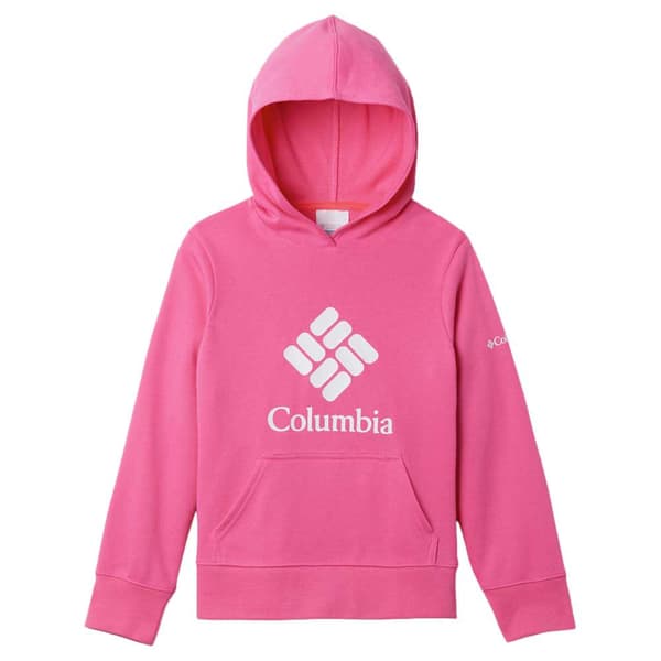 Columbia Hættetrøje Trek™ French Terry Hoodie Rosa 10-11 Years Dreng