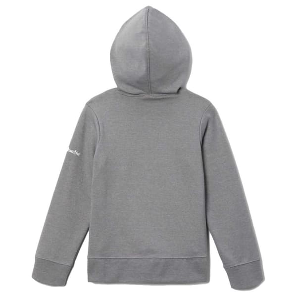 Columbia Hættetrøje Trek™ French Terry Hoodie Grå 14-16 Years Dreng