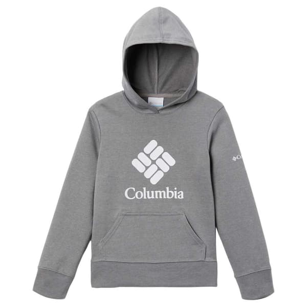Columbia Hættetrøje Trek™ French Terry Hoodie Grå 14-16 Years Dreng