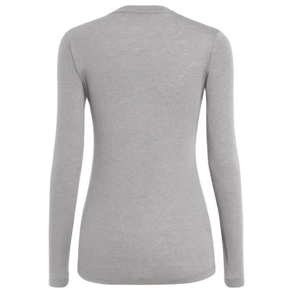 Salewa Langærmet T-shirt Solidlogo Dryton Grå S Kvinde