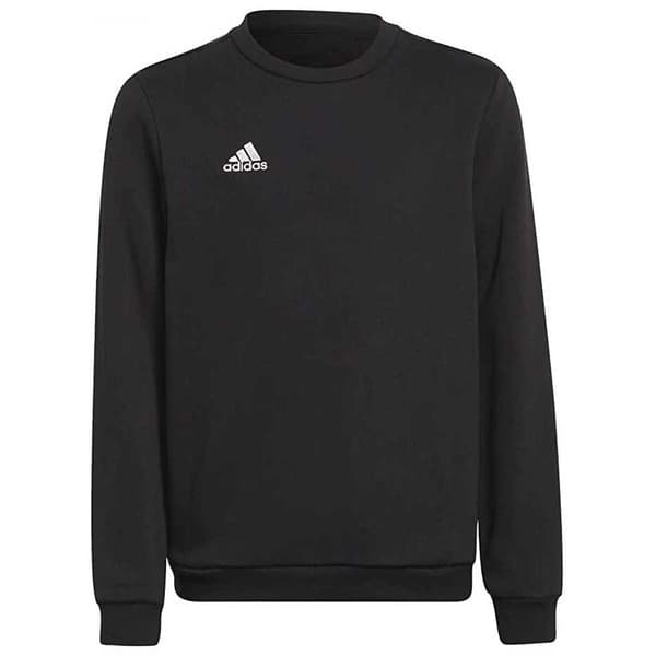 Adidas Huppari Entrada 22 Stadium Sw Musta 15-16 Years