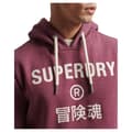 Pikkukuva 3 / 5: Superdry Huppari Vintage Corp Logo Marl Punainen M Mies