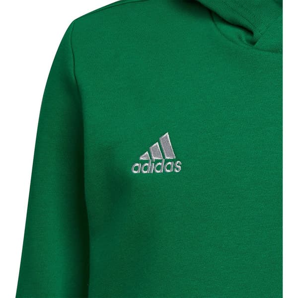 Adidas Hættetrøje Entrada 22 Grøn 5-6 Years