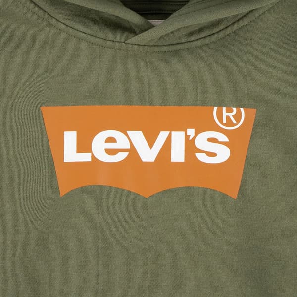 Levi´s ® Kids Teen Hoodie Batwing Screenprint Grönt 14 Years