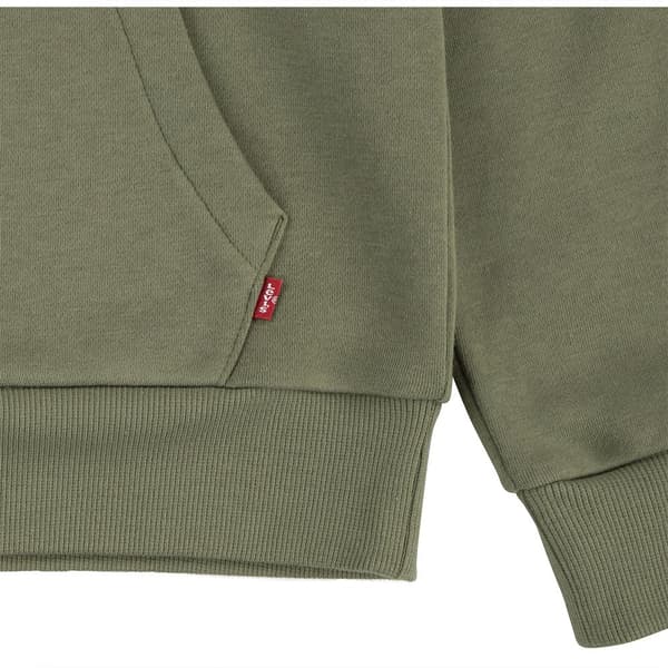 Levi´s ® Kids Teen Hoodie Batwing Screenprint Grönt 14 Years