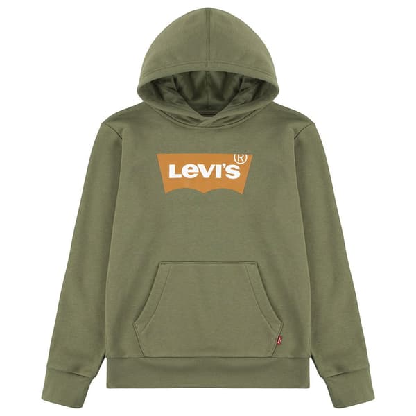 Levi´s ® Kids Teen Hoodie Batwing Screenprint Grönt 14 Years