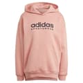 Miniatyrbild 3 av 6: Adidas Luvtröja All Szn Fleece Graphic Rosa S Kvinna