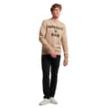 Pikkukuva 2 / 5: Superdry Huppari Workwear Logo Vintage Beige S Mies