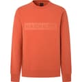 Miniatyrbillede 1 af 3: Hackett Sweatshirt Hm581166 Orange M Mand