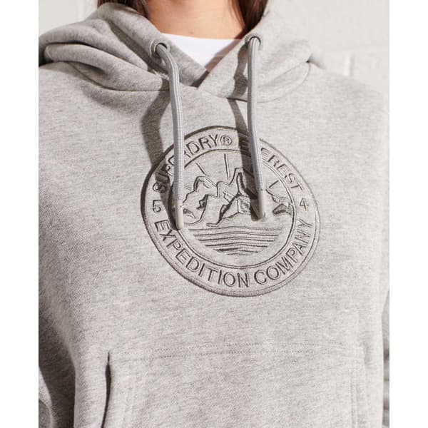 Superdry Huppari Expedition Graphic Crop Harmaa S Nainen
