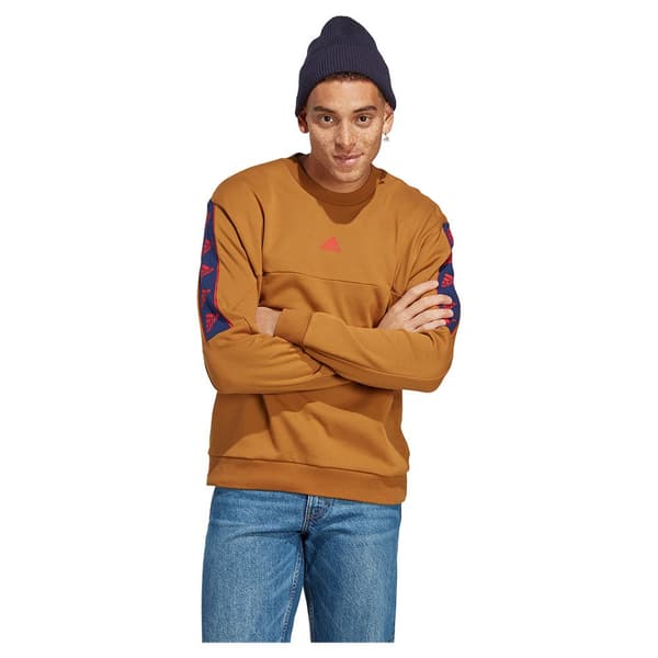 Adidas Tröja Bl Brun M / Regular Man