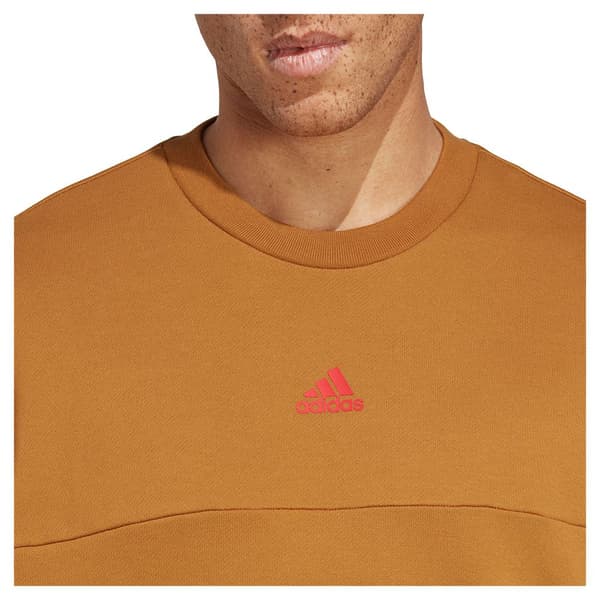 Adidas Tröja Bl Brun M / Regular Man
