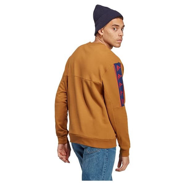 Adidas Tröja Bl Brun M / Regular Man