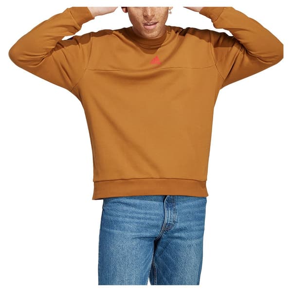 Adidas Tröja Bl Brun M / Regular Man