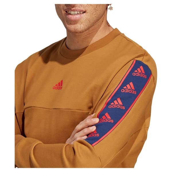 Adidas Huppari Bl Ruskea L / Regular Mies