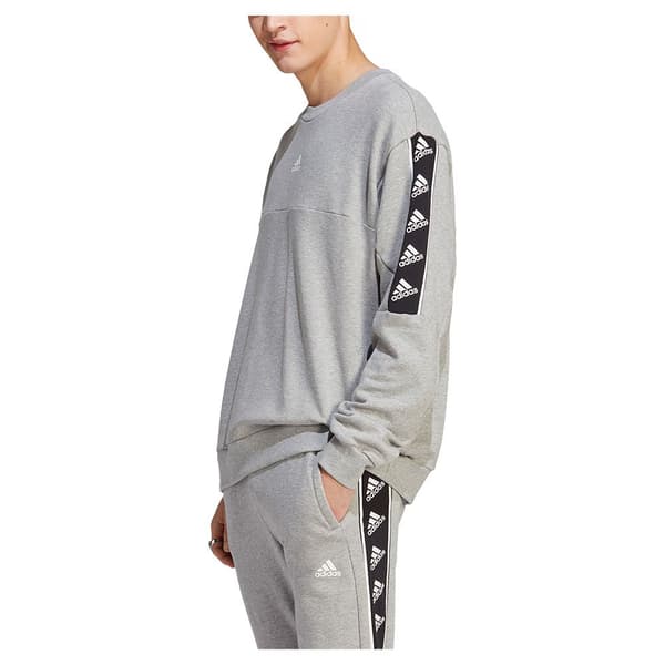 Adidas Sweatshirt Bl Grå M / Regular Mand