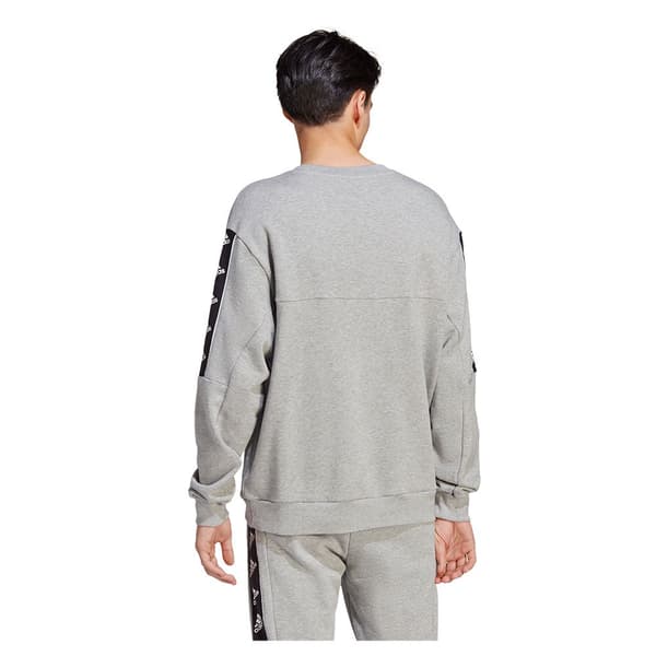 Adidas Huppari Bl Harmaa L / Regular Mies
