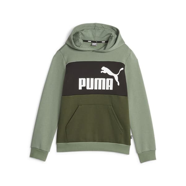 Puma Hættetrøje Ess Block Fl Grøn 3-4 Years Dreng