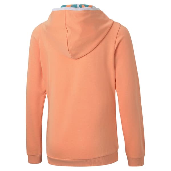 Puma Sweatshirt Med Full Dragkedja Alpha Grönt 13-14 Years Flicka