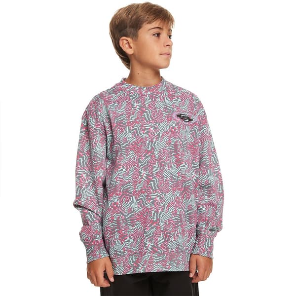 Quiksilver Tröja Radical Times Lila 12 Years Pojke