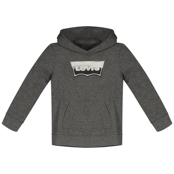 Levi´s ® Kids Batwing Fill Hættetrøje Grå 5 Years Dreng