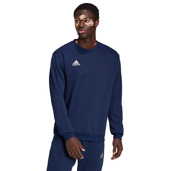 Adidas Sweatshirt Entrada 22 Stadium Sw Blå 2XL / Regular Mand