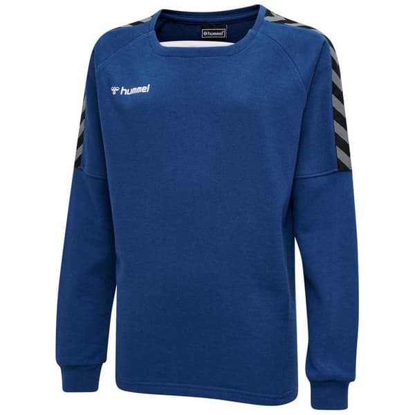 Hummel Tröja Authentic Training Blå 14 Years Pojke